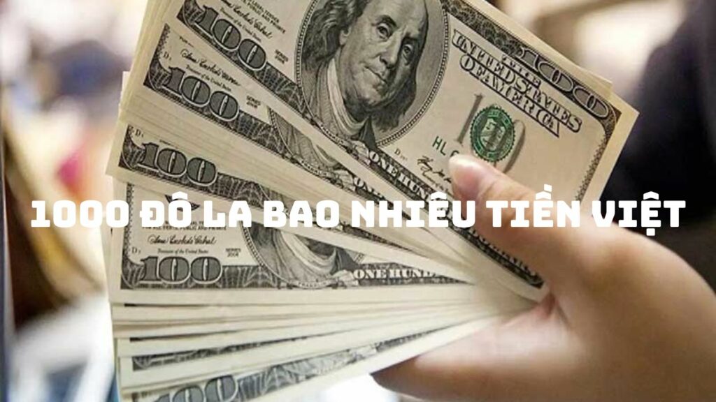 Ảnh bìa 1000 Đô la bằng bao nhiêu tiền Việt