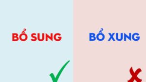 Ảnh bìa Bổ sung hay bổ xung